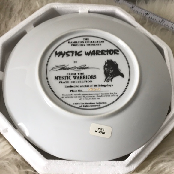 NEW 1992 The Hamilton Collection Mystic Warrior Collector's plate COA numbered - Picture 4 of 7